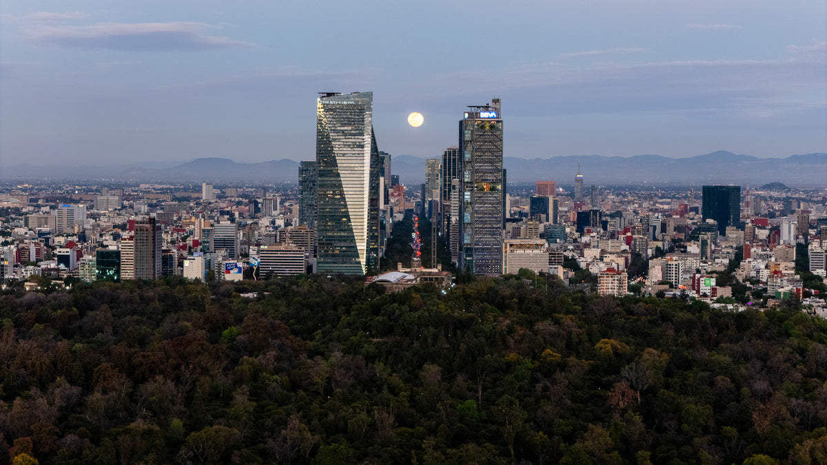 Fotografía del Bosque de Chapultepec durante una luna llena